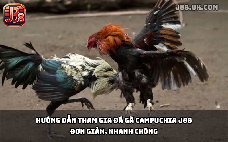 Đá Gà Campuchia J88