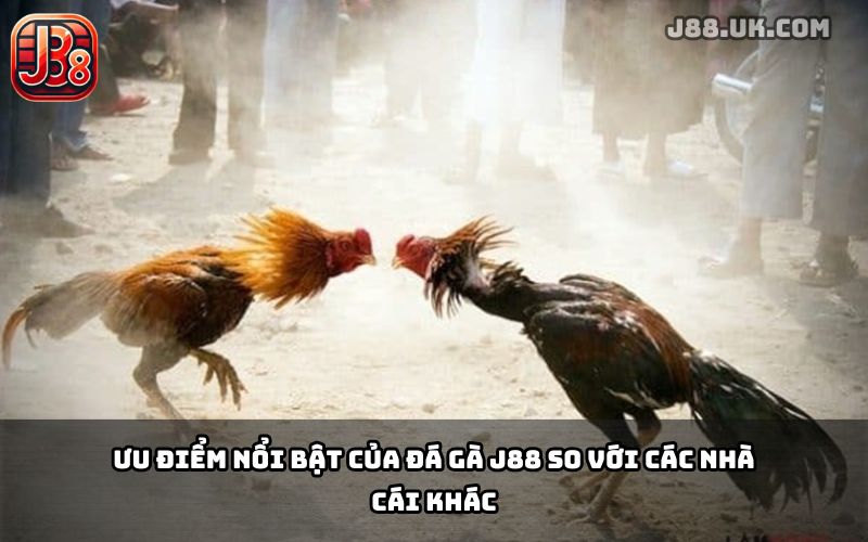 Đá Gà Campuchia J88