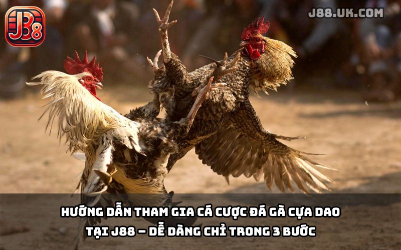 Đá Gà Cựa Dao J88