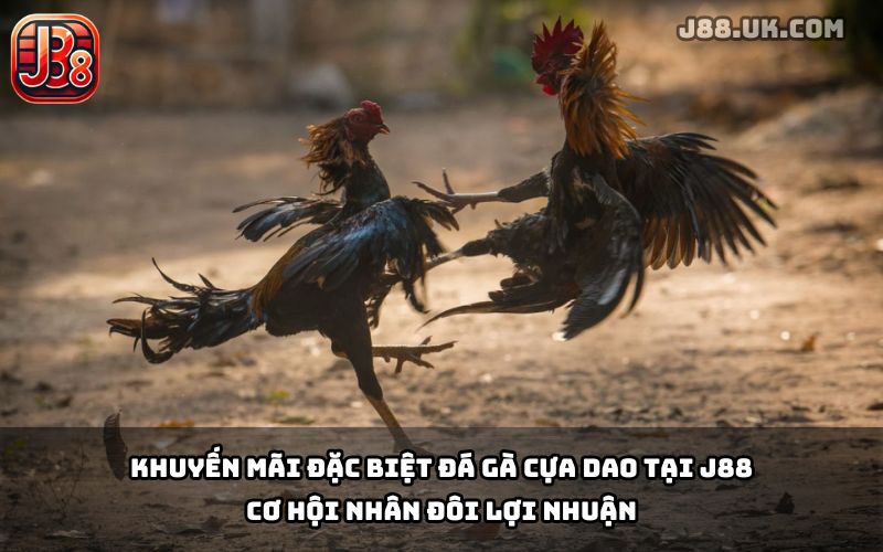 Đá Gà Cựa Dao J88